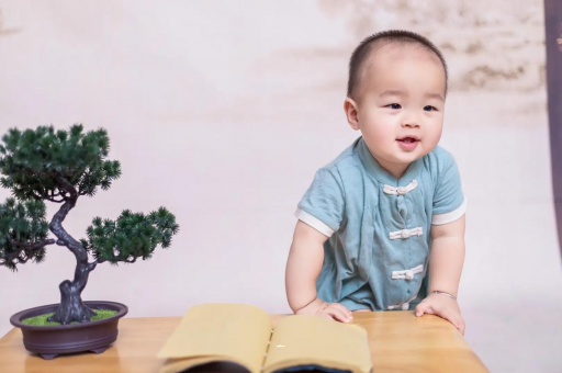 来宾可爱的企鹅宝宝